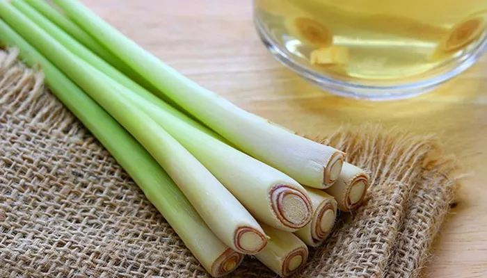 lemongrass