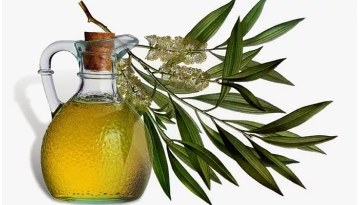 Tea tree oil