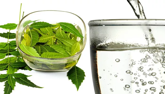 Neem Leaves for hair