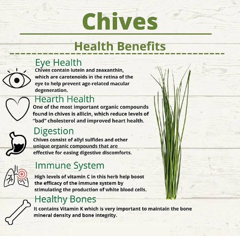 Run for your Chives! | Healthmug