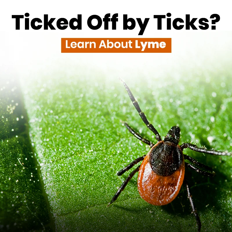 Ticked Off by Ticks? Learn About Lyme