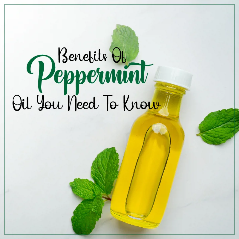 Benefits Of Peppermint Oil You Need To Know