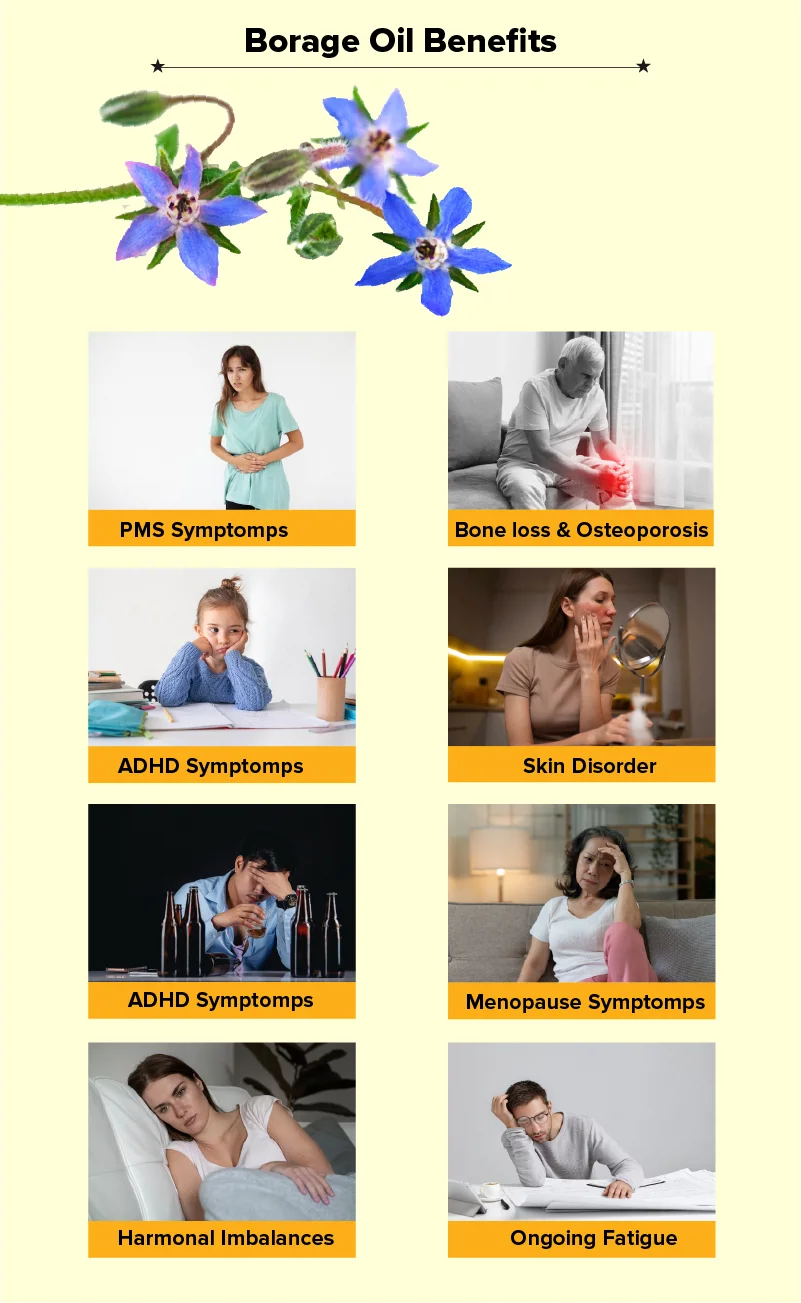 Health Benefits 101: Borage Herb | Healthmug