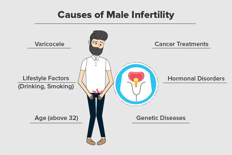 Male Hormones: The Unseen Force Behind Male Fertility 4 Male Infertility: Health Awareness | Healthmug