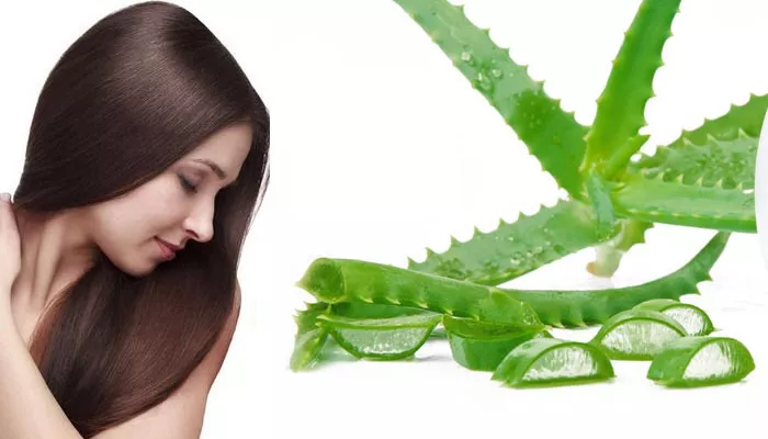 Aloe Vera As A Complete Hair Package for Your Hair