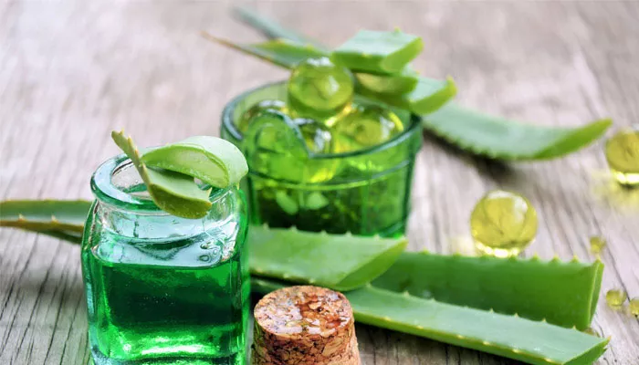 Boost Your Immune System and Antioxidant Activity with Aloe Vera Juice