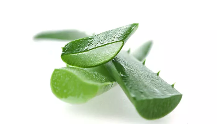 Halt the Growth of Cancer with Aloe Vera