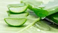 How To Use Aloe Vera For A Better You