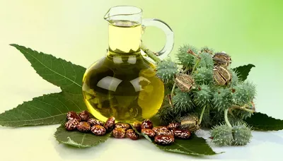 Top Benefits Of Castor Oil You Need To Know