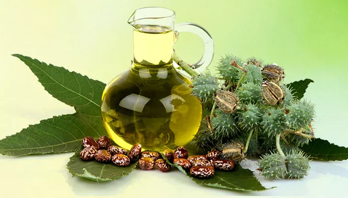 Top Benefits Of Castor Oil You Need To Know