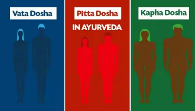What Are Vata, Pitta, Kapha Dosha in Ayurveda
