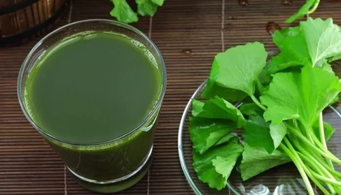Brahmi juice (The Herb Of Grace)