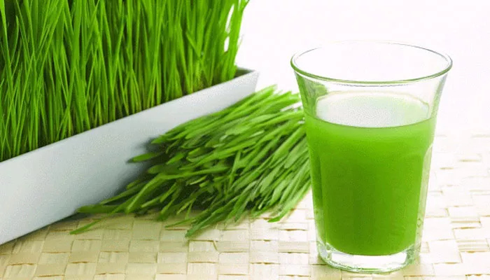 Wheatgrass Juice