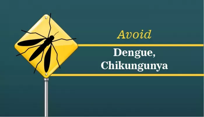 Step Guide to avoid Dengue and Chikungunya