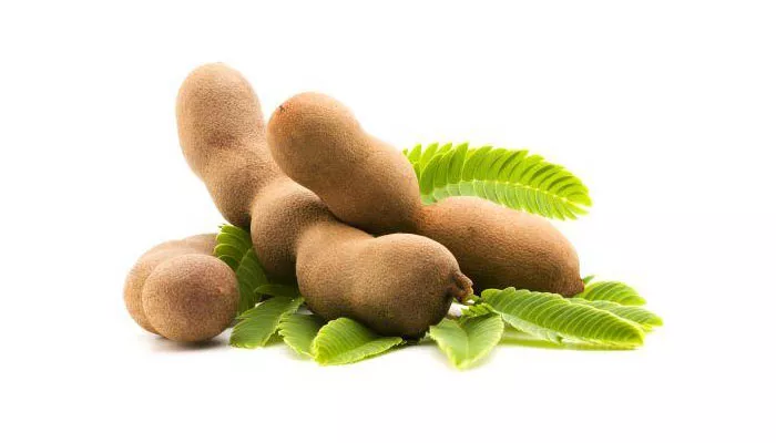 Tamarind aka Imli for treatment of Malaria