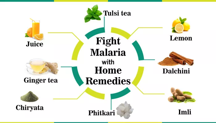 symptoms of malaria fever