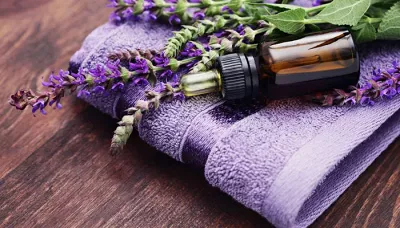 8 Reasons Why Lavender Oil Is Important For You