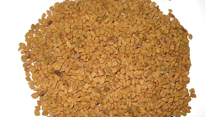 Fenugreek aka Methi