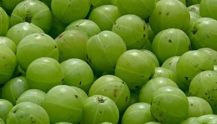 Amla