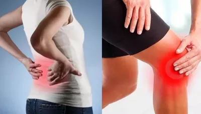 Back & Knee Pain
