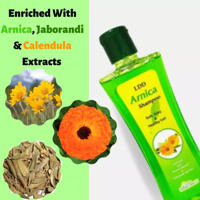 Buy Arnica Shampoo Homeopathic Medicine | Doctor Bhargava