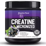 Nutrition Planet Micronized Creatine Monohydrate Black Current (348g)