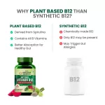 Vlado's Himalayan Organics Plant Based Vitamin B12 Veg Capsules (120cap)