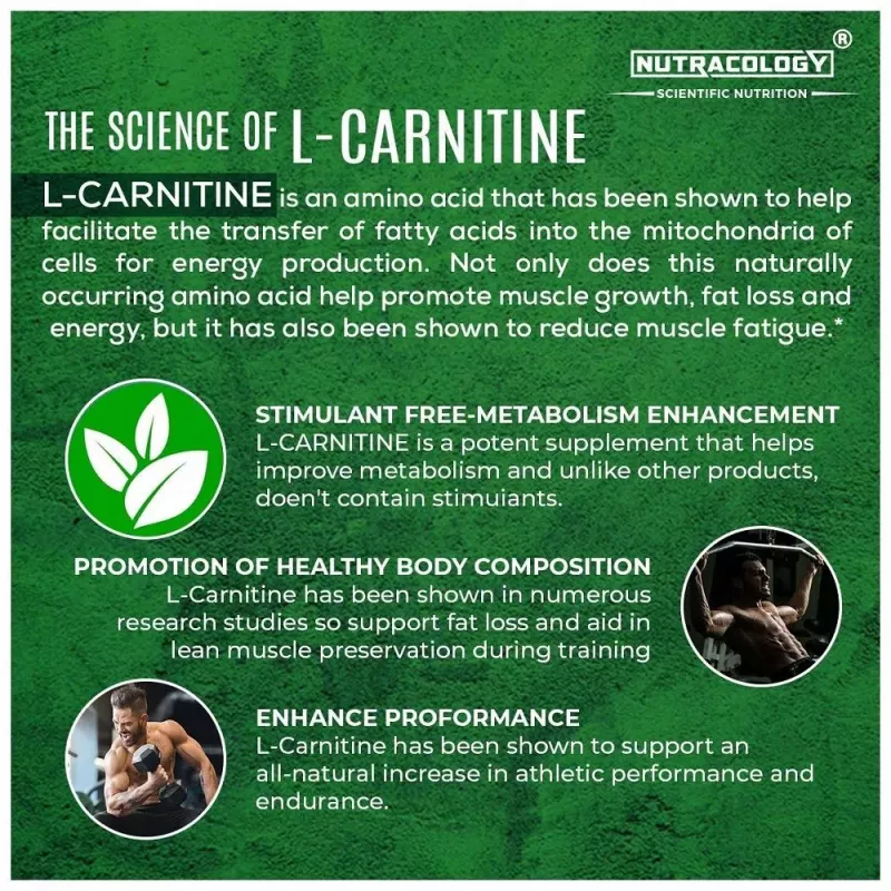 l carnitine scientific studies Potential benefits of L-Carnitine supplementation for male fertility In... main image 1
