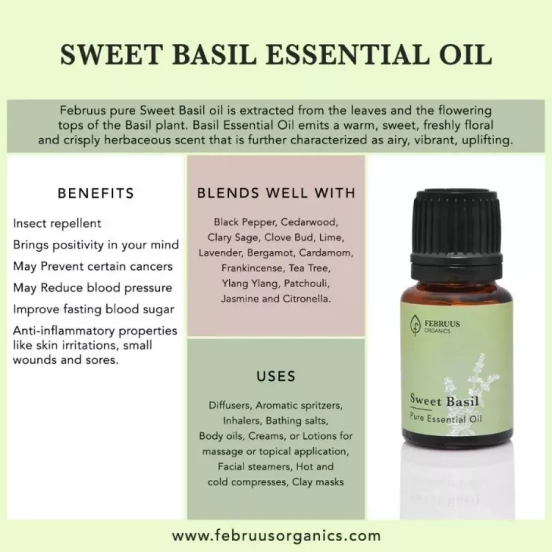 Buy Februus Organics Sweet Basil Essential Oil Online 10 Off