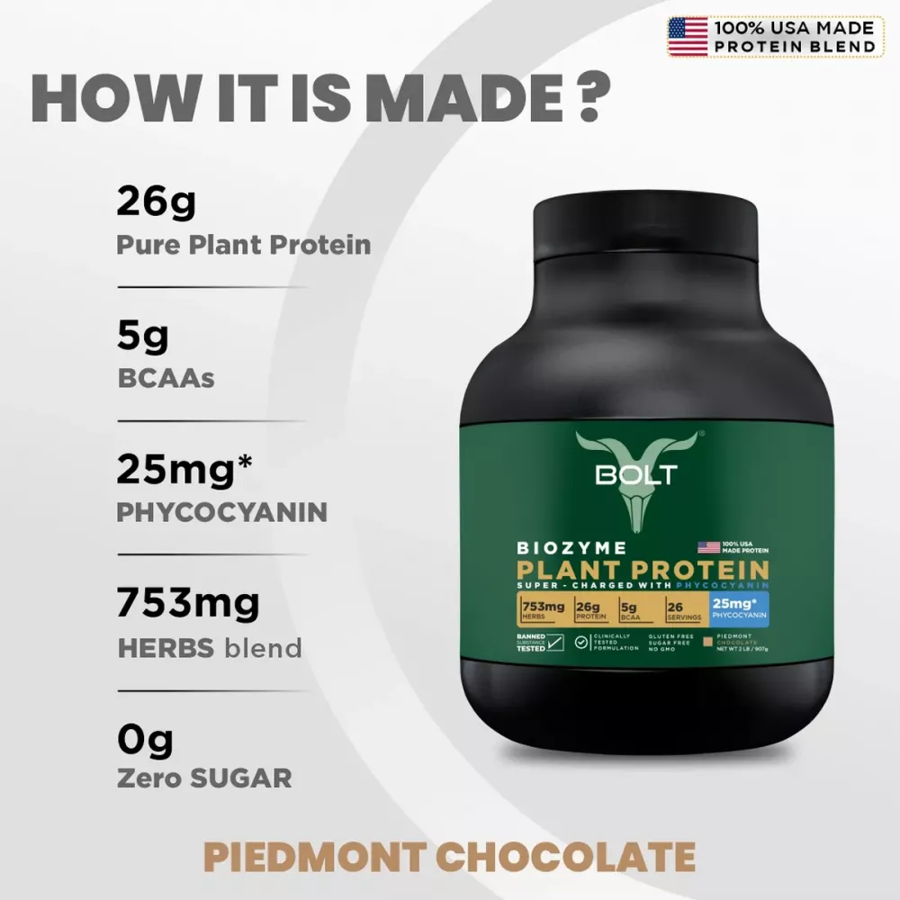 Bolt Biozyme Plant Protein Chocolate (2lb)