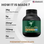 Bolt Biozyme Plant Protein Chocolate (2lb)