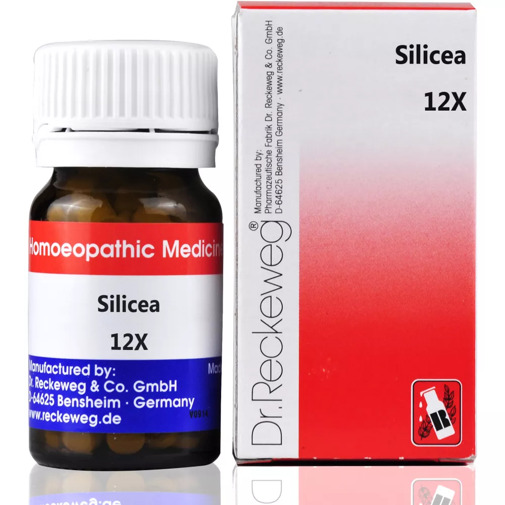 Buy Dr Reckeweg Silicea Biochemic Tablets Online - 15% Off! 