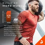 Muscletech Vapor X5 Fruit Punch (270g)