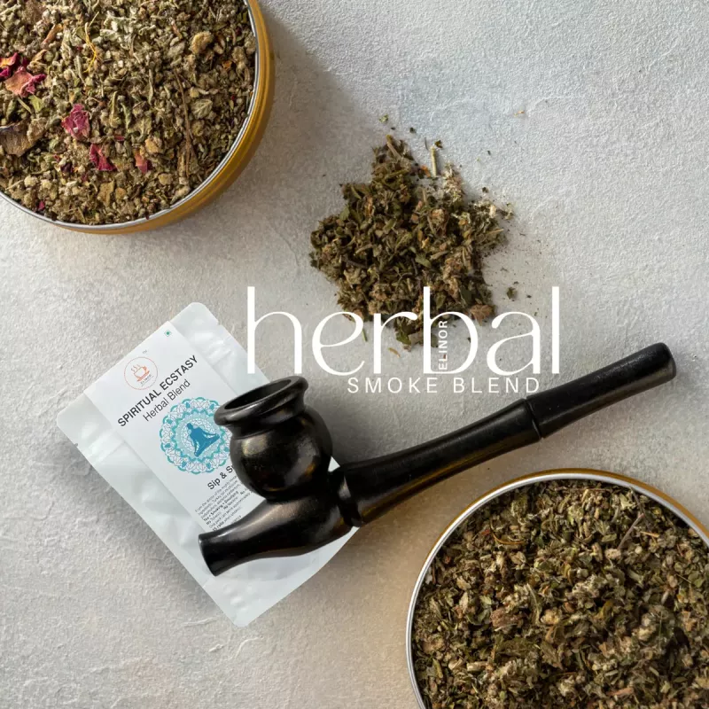what are ecstacy herbal cigarettes Buy Menthol Carton of 10 pks Online at Low Prices in India Herbal Ecstasy Dangers: What You