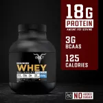 Bolt Beginner Whey Protein Chocolate Hazelnut (1kg)