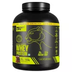 Beastlife Whey Protein Powder Isorich Blend Double Rich Chocolate (1848g)