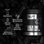 Beastlife Creatine Monohydrate Unflavored (100g)