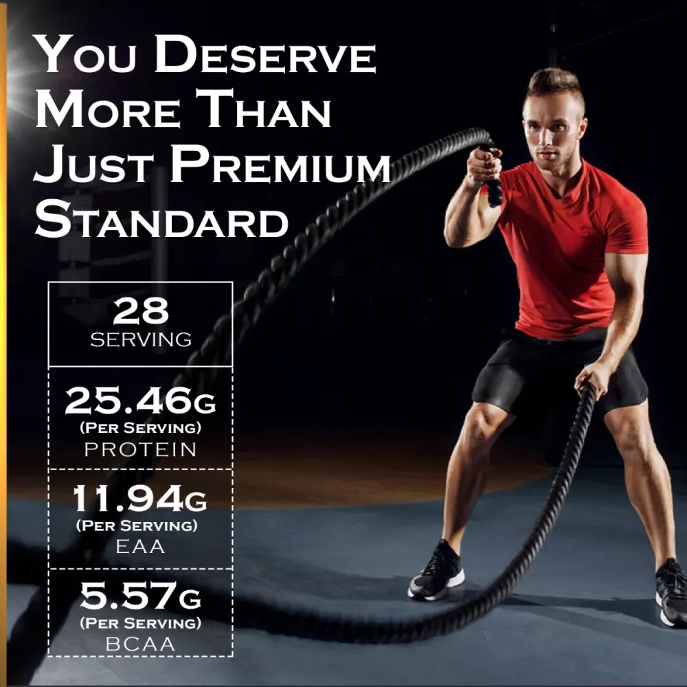 Nakpro Whey Gold Whey Protein Concentrate Cookies & Cream (1kg)