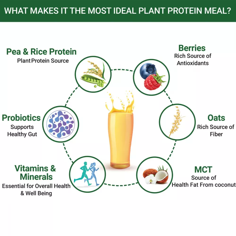 Inlife Plant Based Meal Shake Mango (500g)