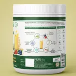 Inlife Vegan Protein Meal Shake Mango (500g)