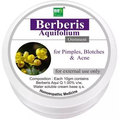 Buy Schwabe Berberis Aquifolium 1x Q Mother Tincture Shophealthy In