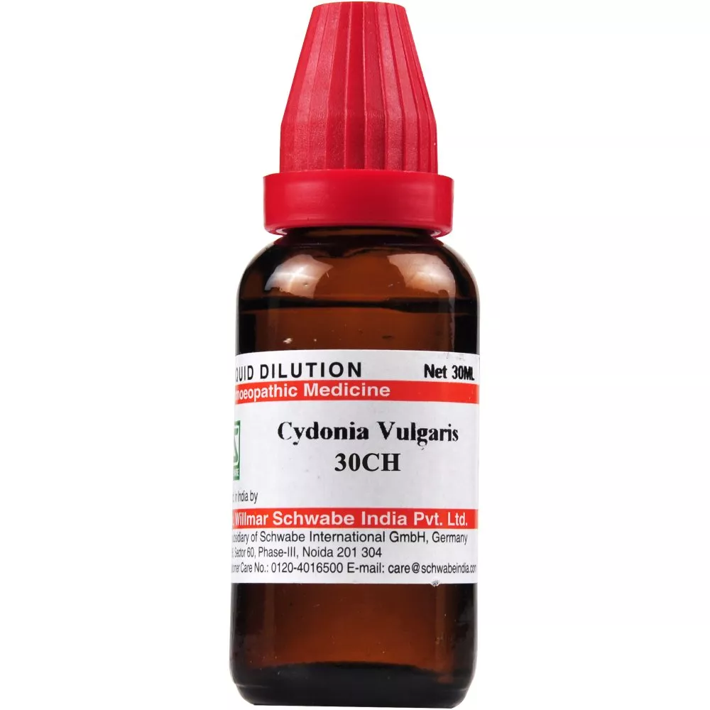 Buy Willmar Schwabe India Cydonia Vulgaris Dilutions