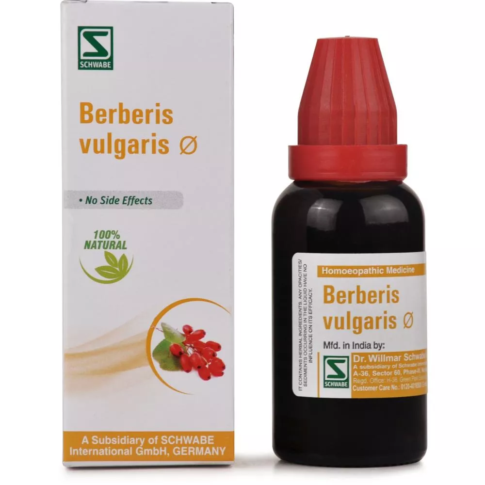 Image result for BERBERIS VULGARIS