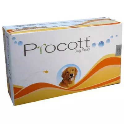 Buy Intas Pharma Procott Dog Soap Online - 10% Off! 